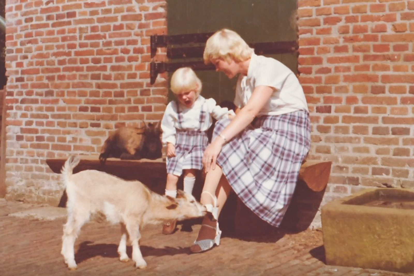 Even (op afstand) voorstellen: Kirsten Hofman