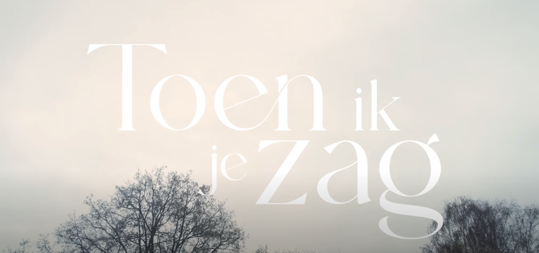 Toen ik je zag