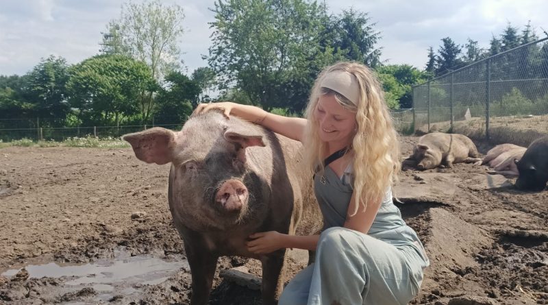 Een stage bij Animal Rights: ‘Deze organisatie deelt mijn principes en waarden’