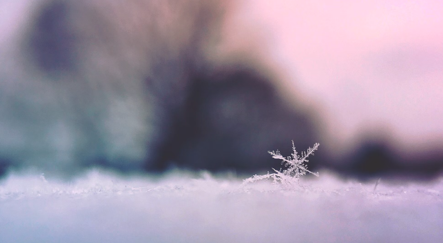 Winterwonderland-wedstrijd: Winterwonderland